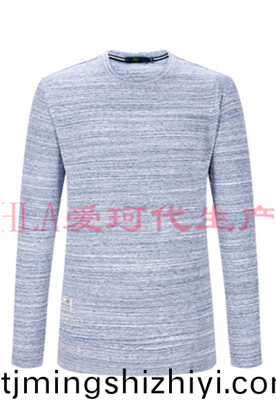  HLA蘤(hua)紗長袖T賉(xu)